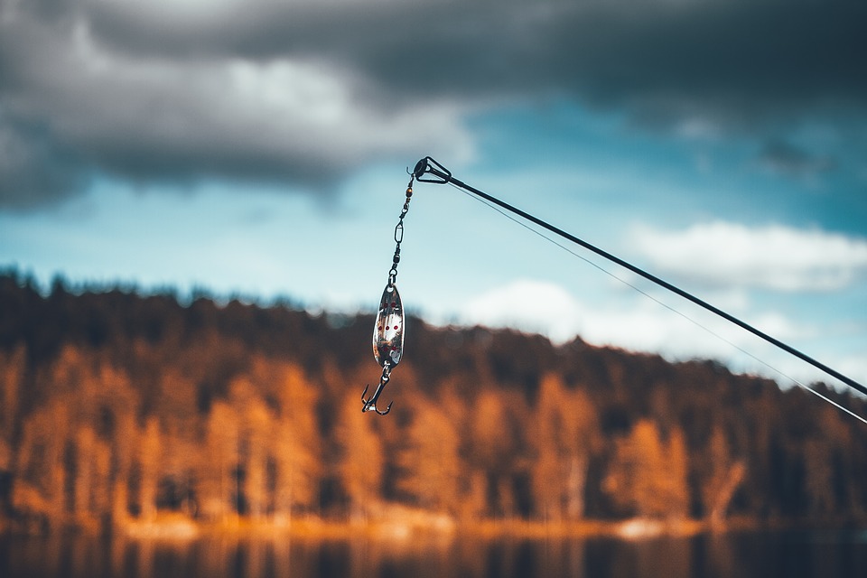 Buying Tips For Fishing Rods