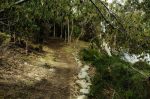 Mountain Biking In Tasmania