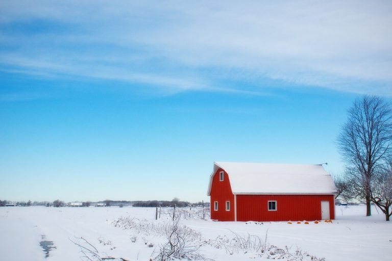 barn3