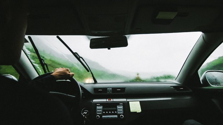 windscreen2
