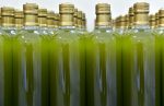 Best Olive Oil Wholesalers