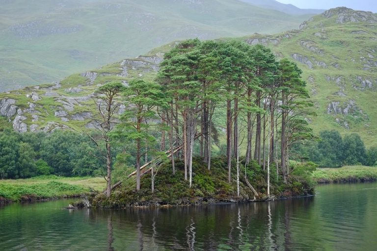 water-3238443_960_720