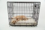 K9 Dog Cages For Cars