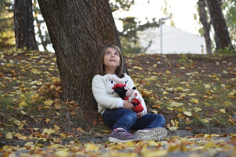 autumn-3030727_1920