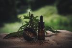 How To Buy The Best CBD Oil Online