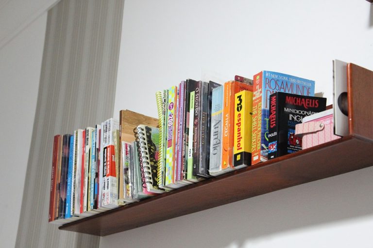 bookshelf-1352605_960_720