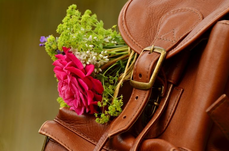 backpack-1482611_960_720