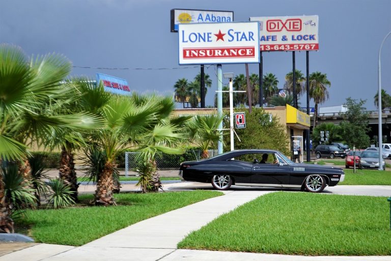 classic-car-and-palm-trees-2814781_960_720