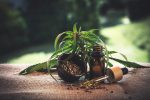 Tips For Buying The Best CBD Oil