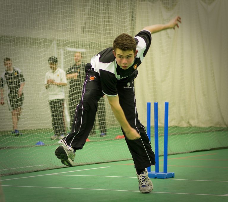 cricket-724623_1920