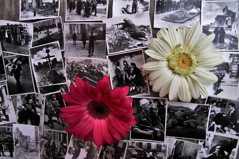 first-3570299_960_720