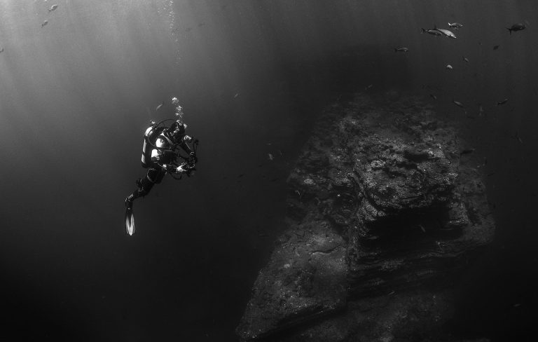 scuba-diver-569333_1920