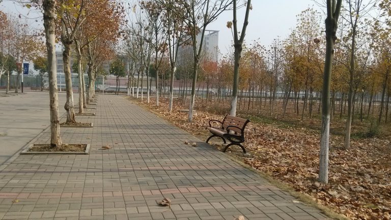 autumn-968275_1920