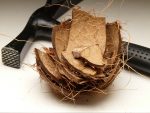 Top Uses For Coconut Shells: An Informative Article