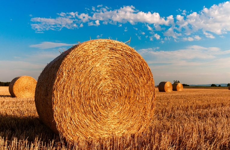 hay-bales-726976_960_720