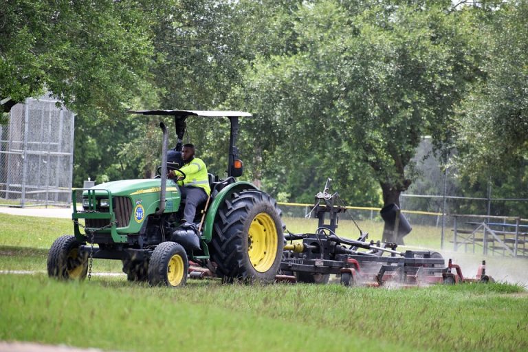 lawncare-5365009_960_720