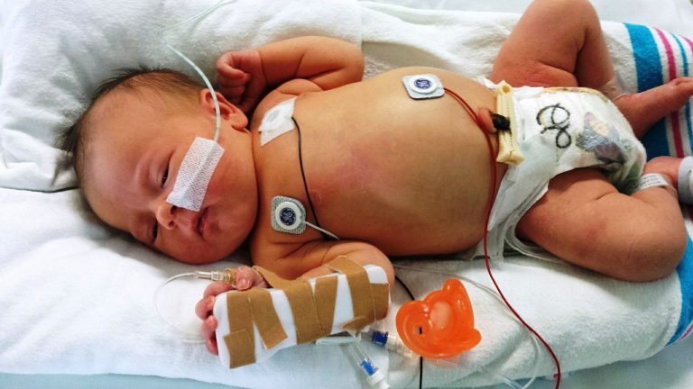 newborn-617414_1920