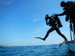 Padi Dive Instructor Courses