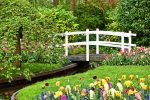 Beautiful Bespoke Garden Designs