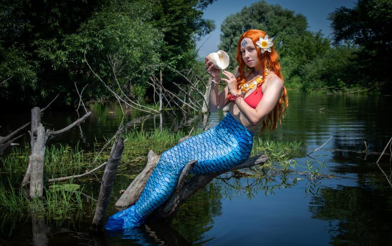 mermaid-g05524a511_1920