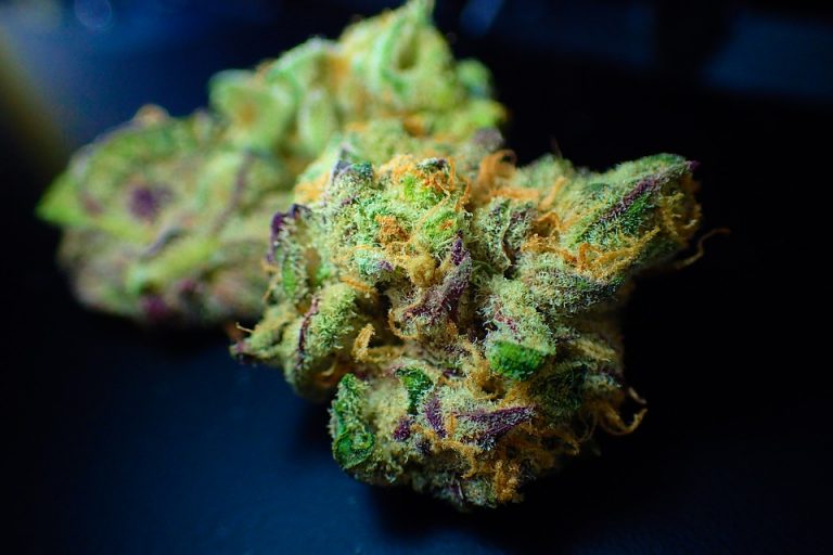 bud-3801028_960_720