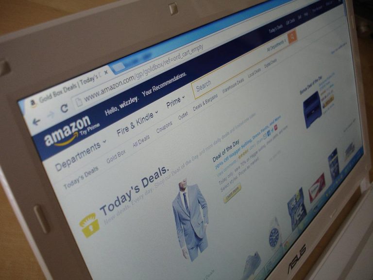 amazon-447034_960_720