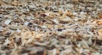 3 Ways To Keep Your Yard Clean And Beautiful With Bark Mulch