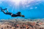 How To Plan Your Akumal Snorkeling Tour?