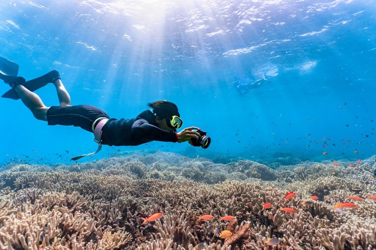 diving-6622121_960_720