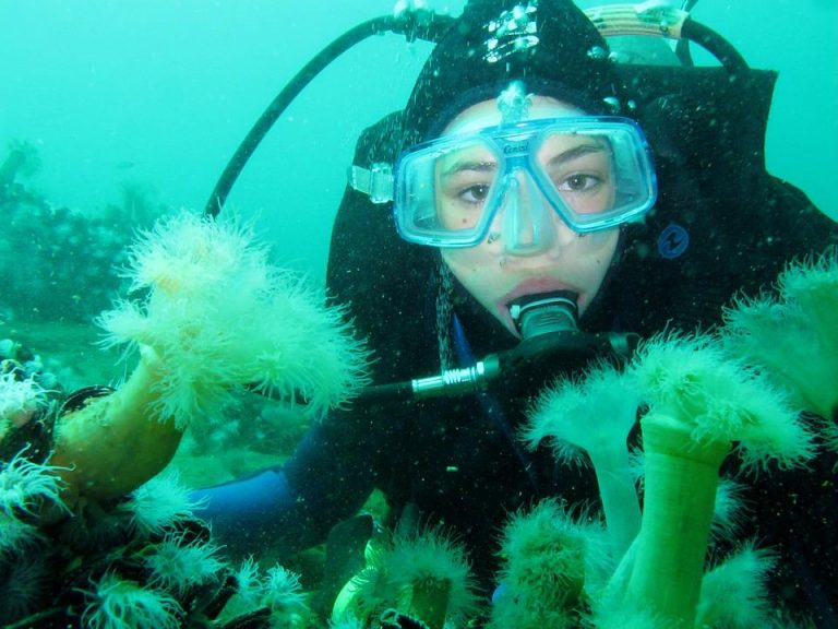 diving-975510_960_720