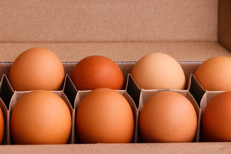 eggs-5616647_960_720