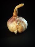 The Many Black Garlic Benefits