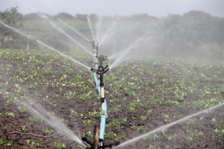 irrigation-588941_960_720