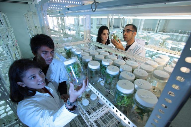 laboratory-385349_960_720