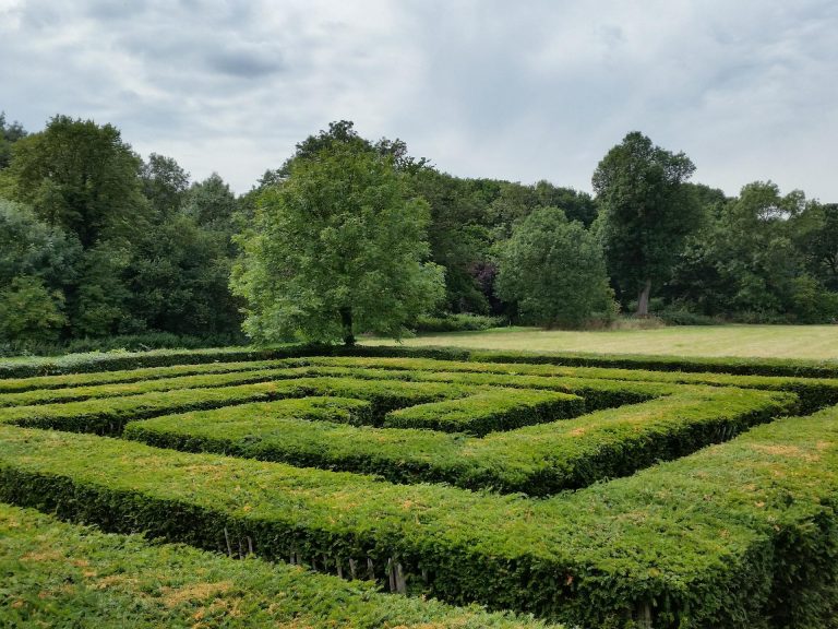 maze-919271_1920