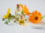 Top Calendula Benefits To Know About