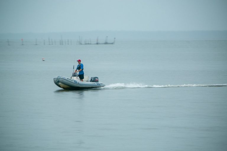 zodiac-boat-5591046_960_720