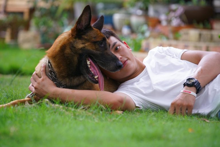 dog-3494486_1920