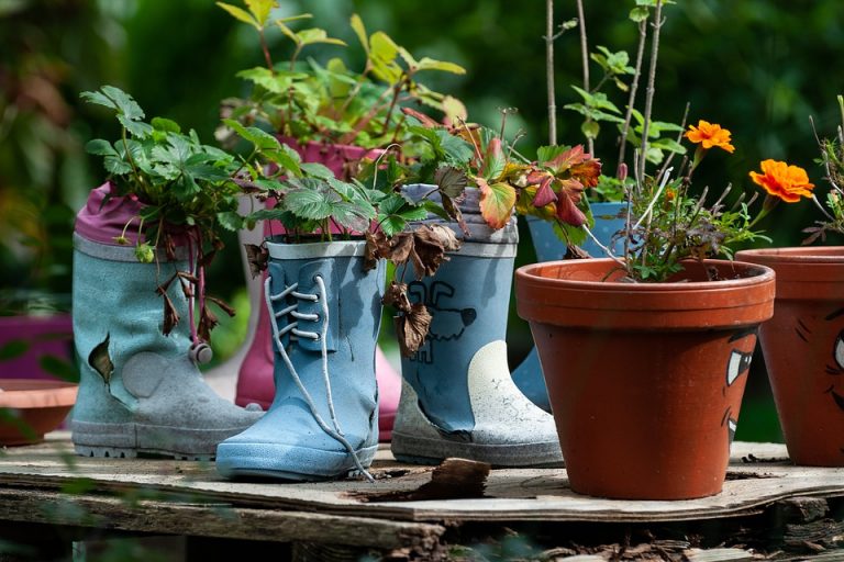 garden-6651887_960_720