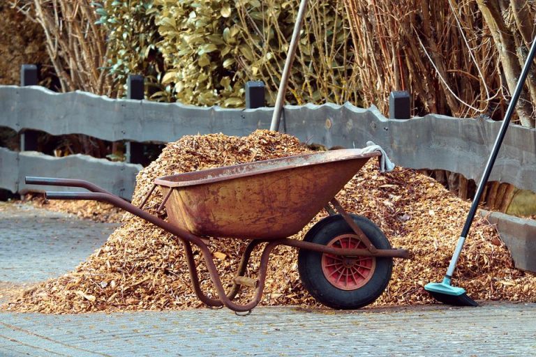 gardening-3997259_960_720