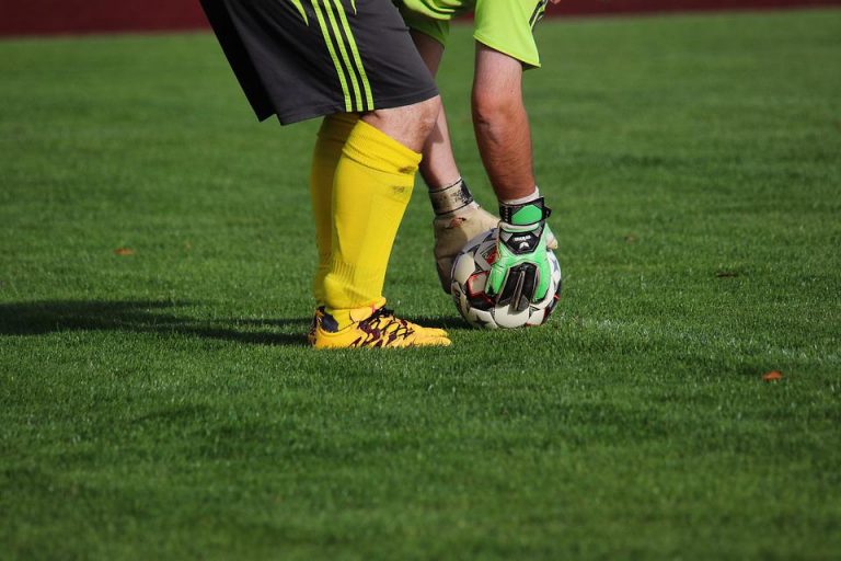 goalkeeper-6357161_960_720