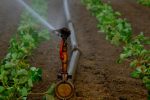 Types Of Micro Irrigation Fittings