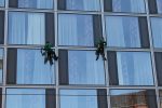 Why Hire Window Cleaning Round Rock Services For Your House?