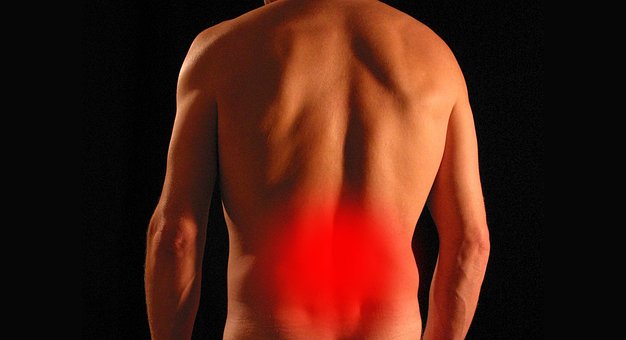 back-5248830__340