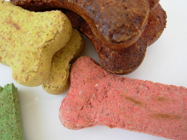 dog-bones-350092_1920