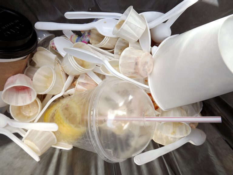 garbage-can-65661_1920