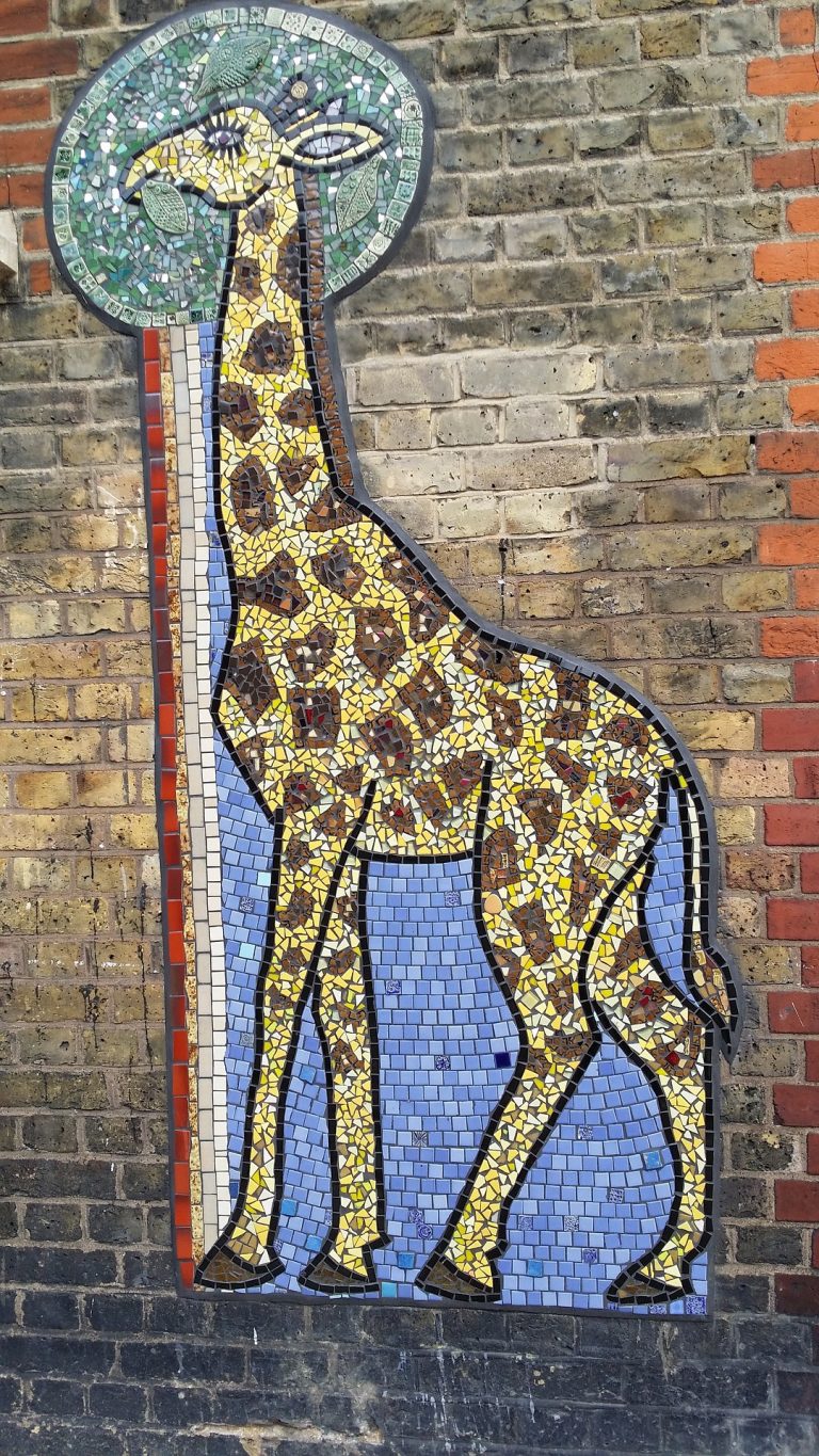 giraffe-714478_1920