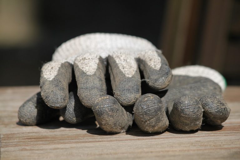 gloves-332172_960_720