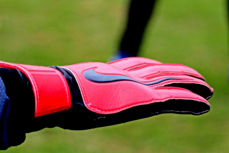 goalkeeper-gloves-4139624_960_720