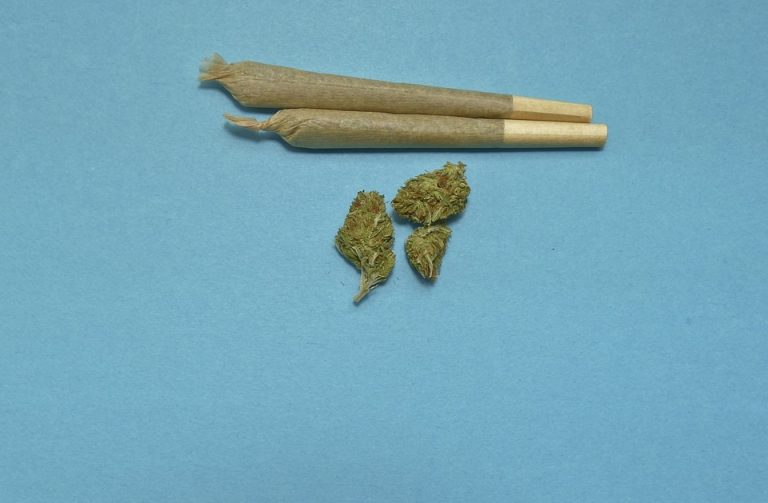 marijuana-2248066_960_720